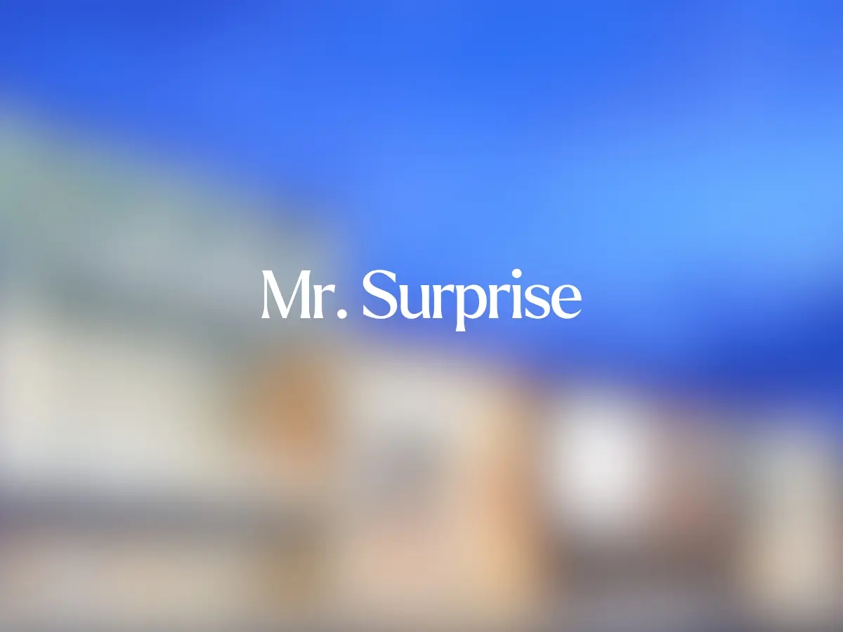 Mr. Surprise