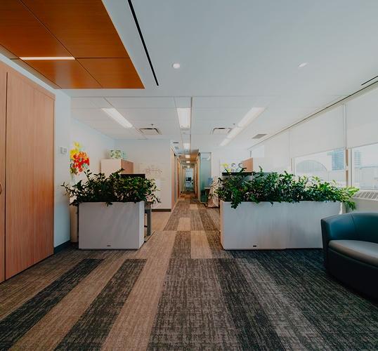 Modern office corridor with planter dividers and striped carpet tiles