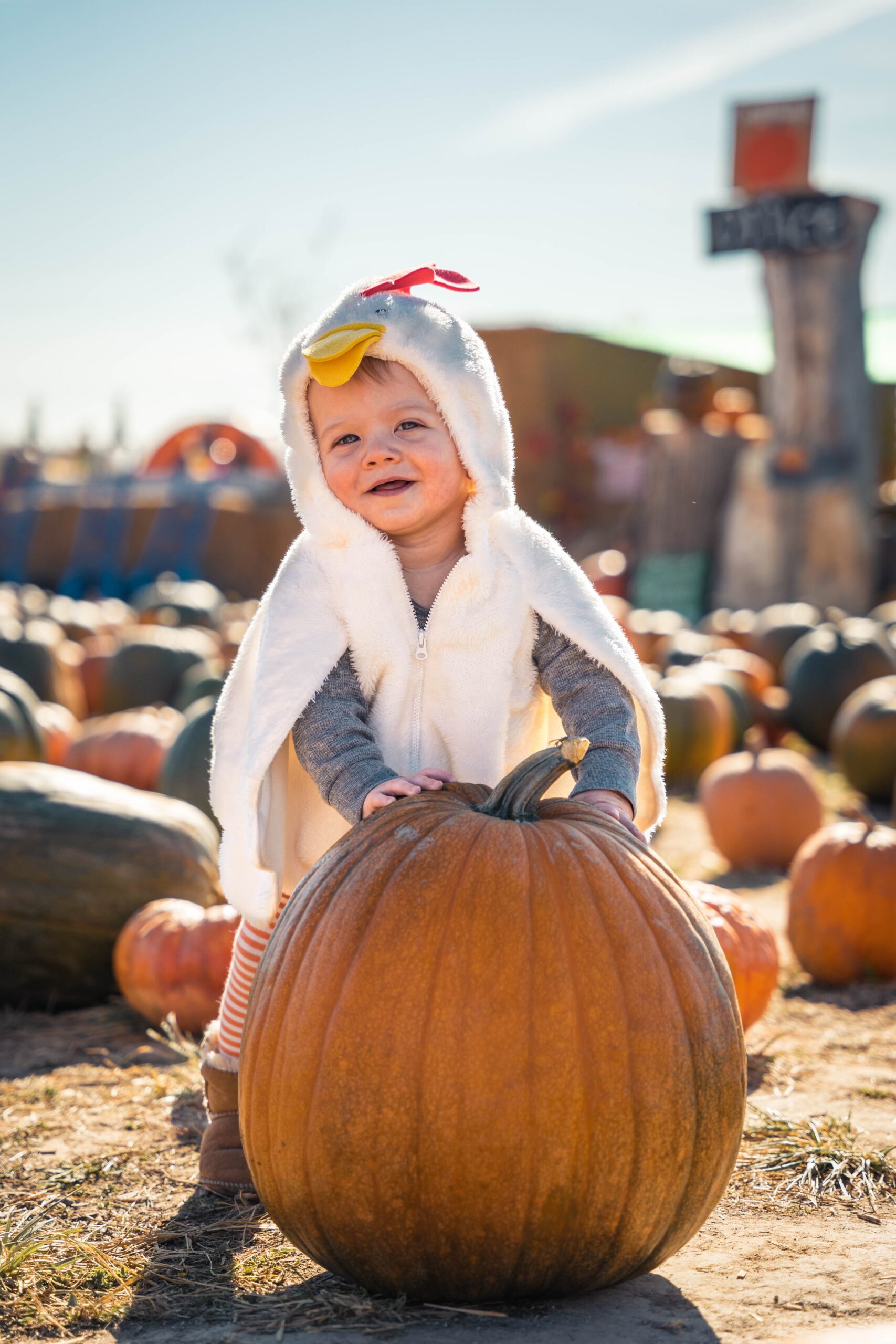 Baby in a costume holding a pumpkin
