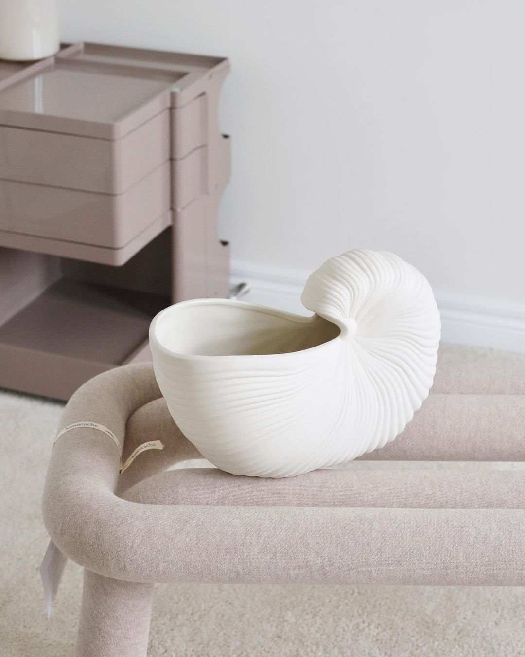 seashell horn vase