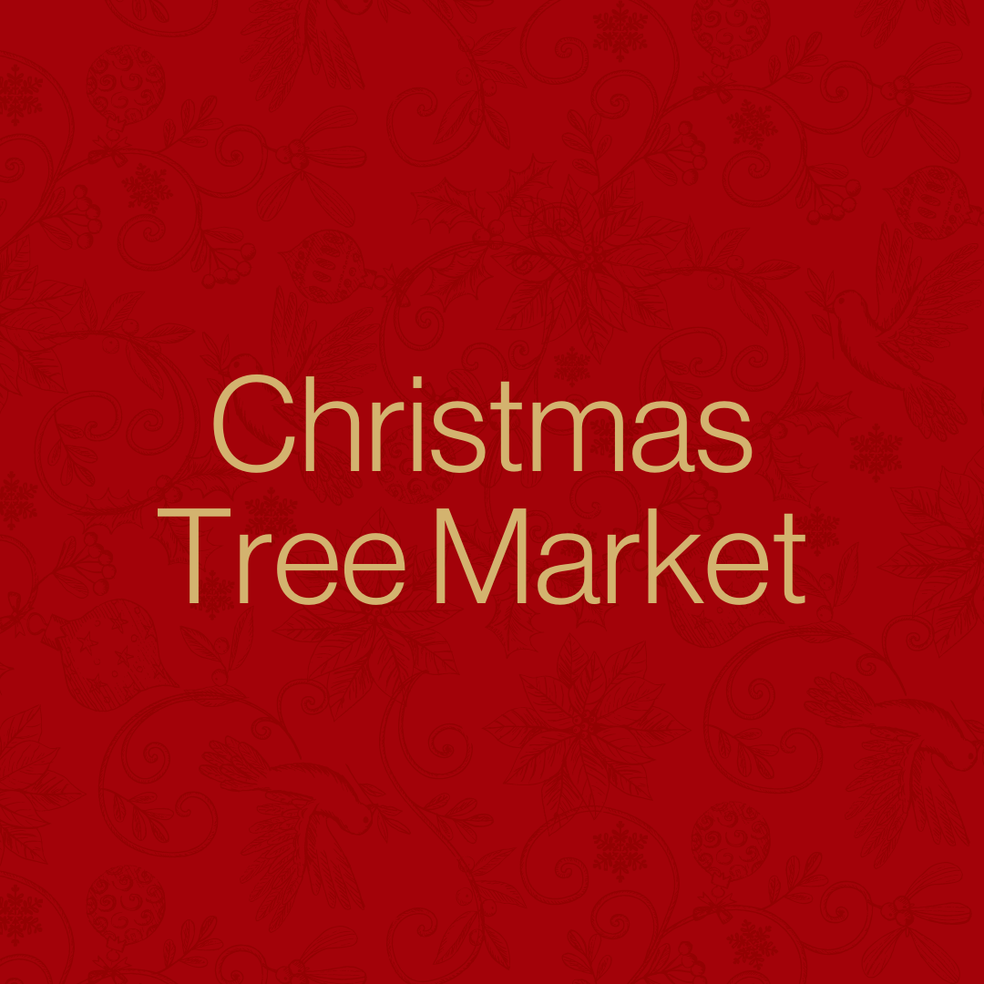 Christmas Tree Market logo